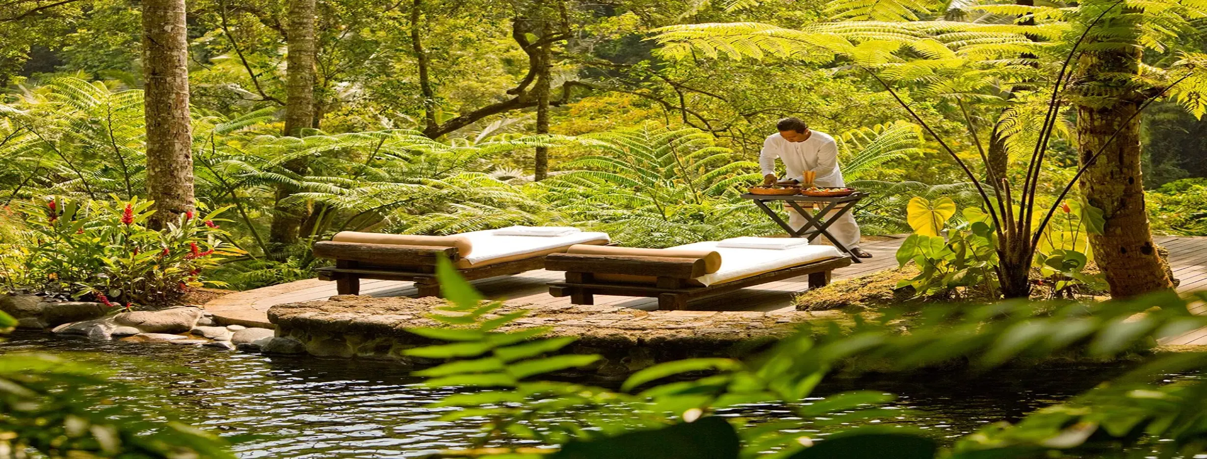 Image for Wellness Retreat